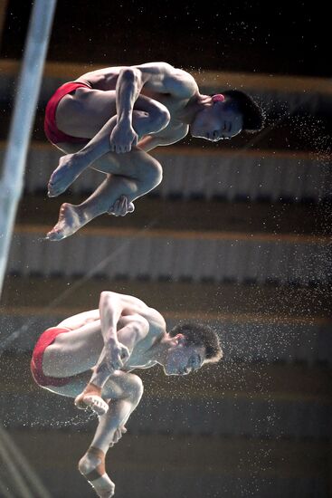 Russia Diving World Series Synchro Men