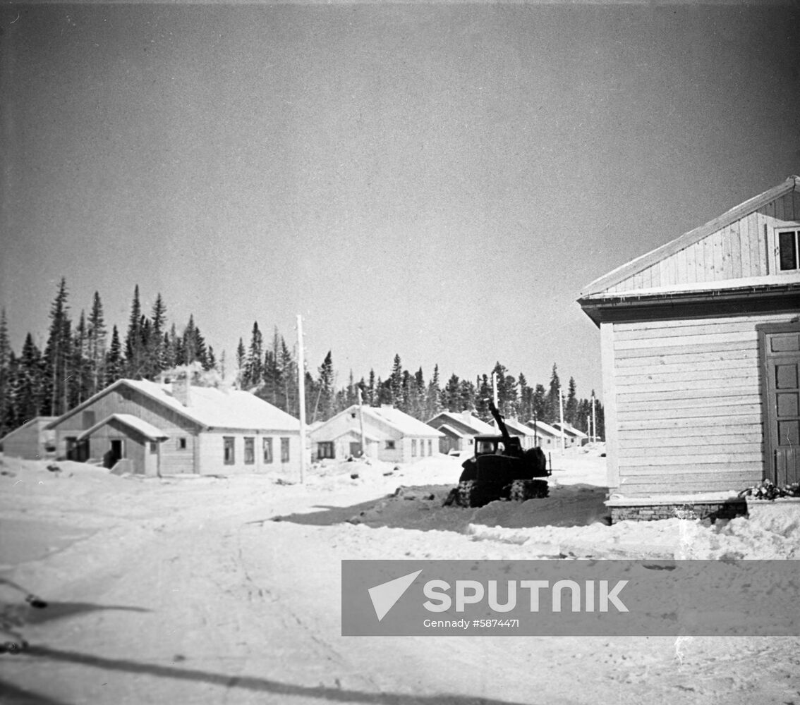 Logger village