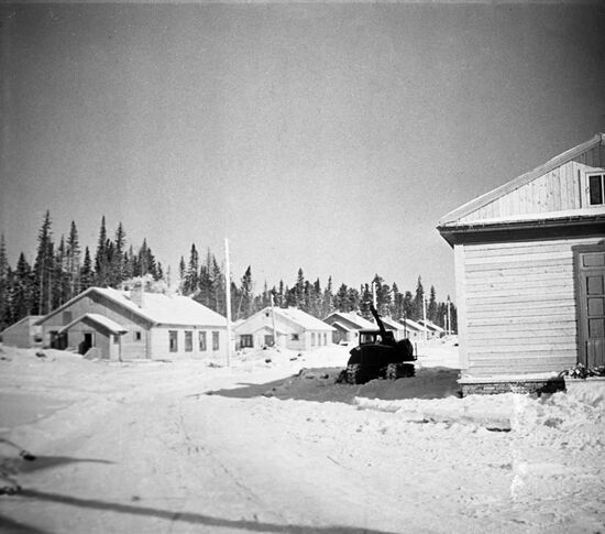 Logger village