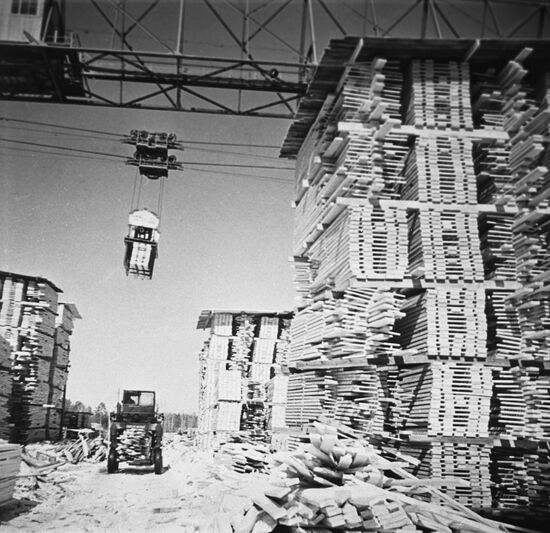 Timber yard