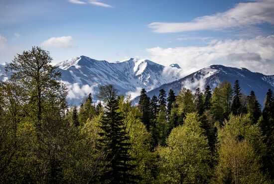 Russia Adygea