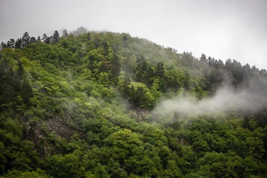 Russia Adygea