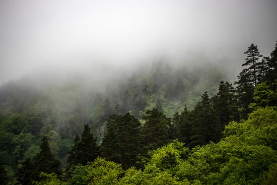 Russia Adygea