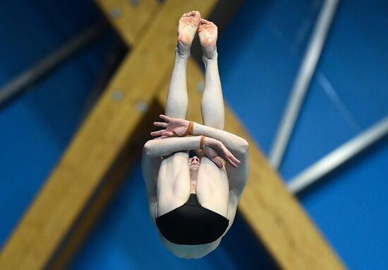 Russia Diving World Series Platform Men