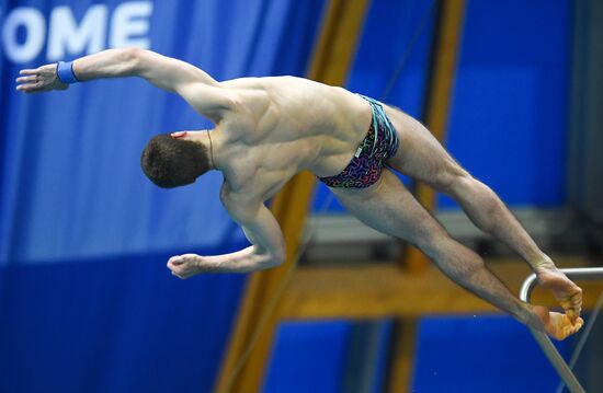 Russia Diving World Series Platform Men