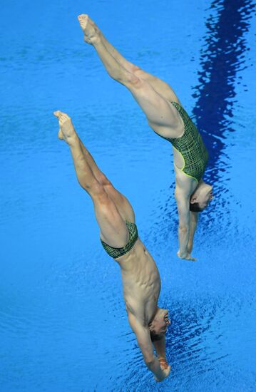 Russia Diving World Series Synchro Mixed