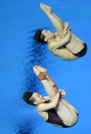 Russia Diving World Series Synchro Mixed