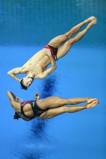 Russia Diving World Series Synchro Mixed