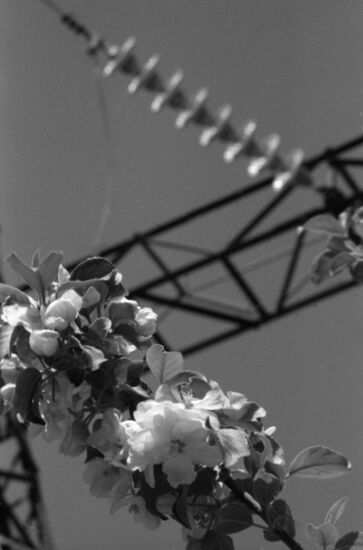 Power lines in Vahsh Valley