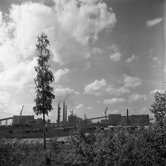 Bratsky logging company