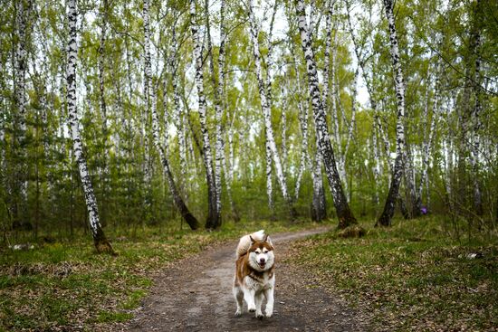 Russia Daily Life