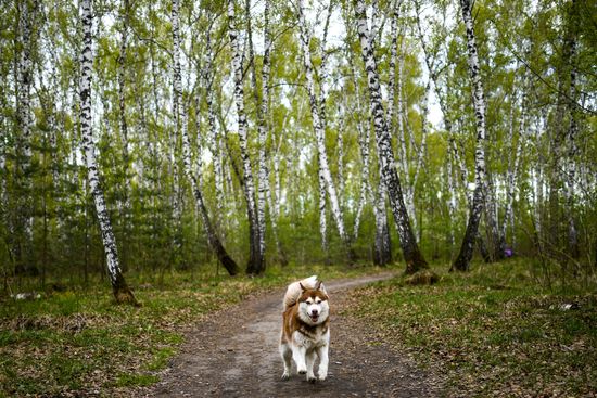 Russia Daily Life