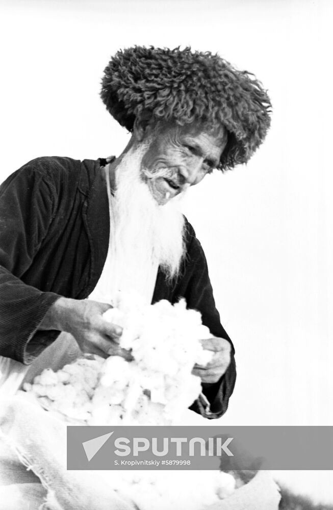 Turkmen farmer Sarnev