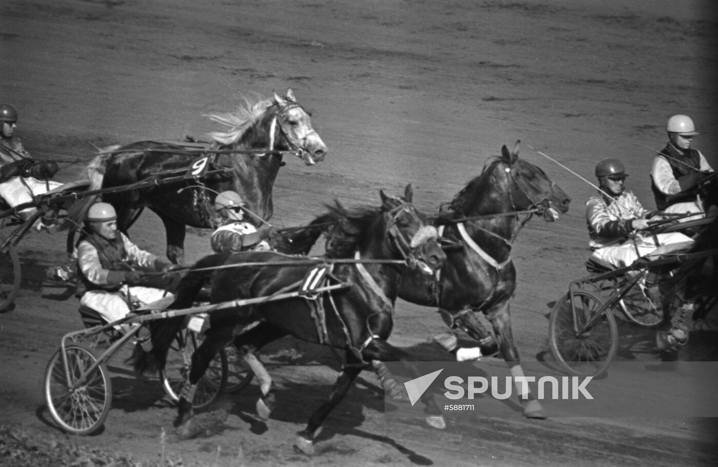 Orlov trotters race to victory