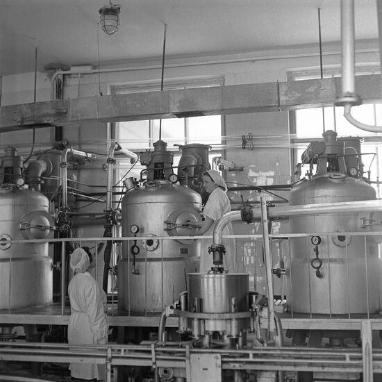 Canned-food plant of collective farm