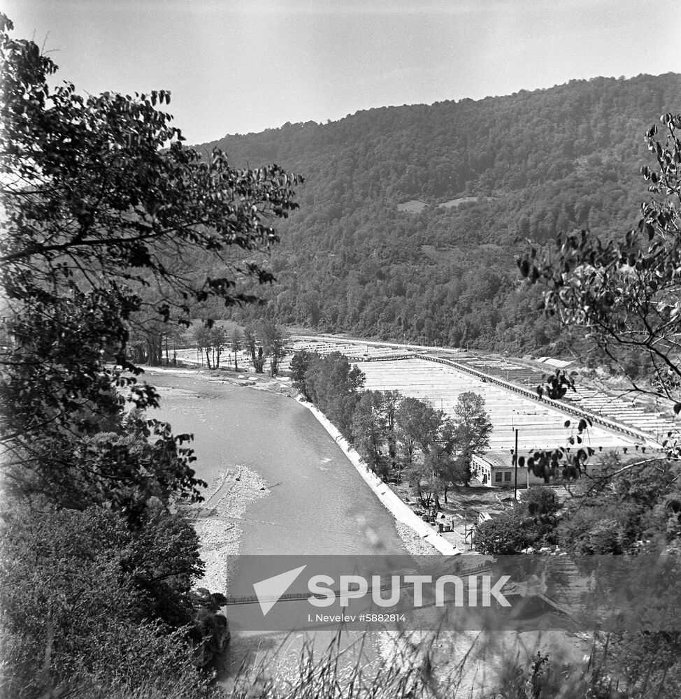 Adler Pedigree Trout-Breeding Plant