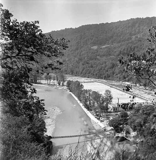 Adler Pedigree Trout-Breeding Plant
