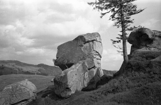 Foothill of Carpathian Mountains in Ukraine