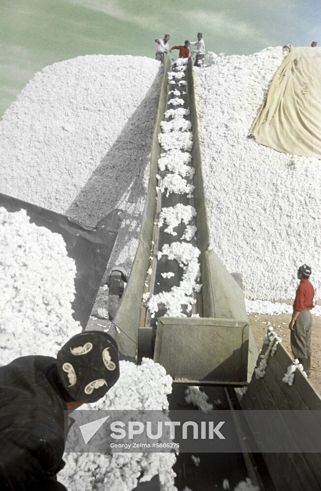 Cotton collection station