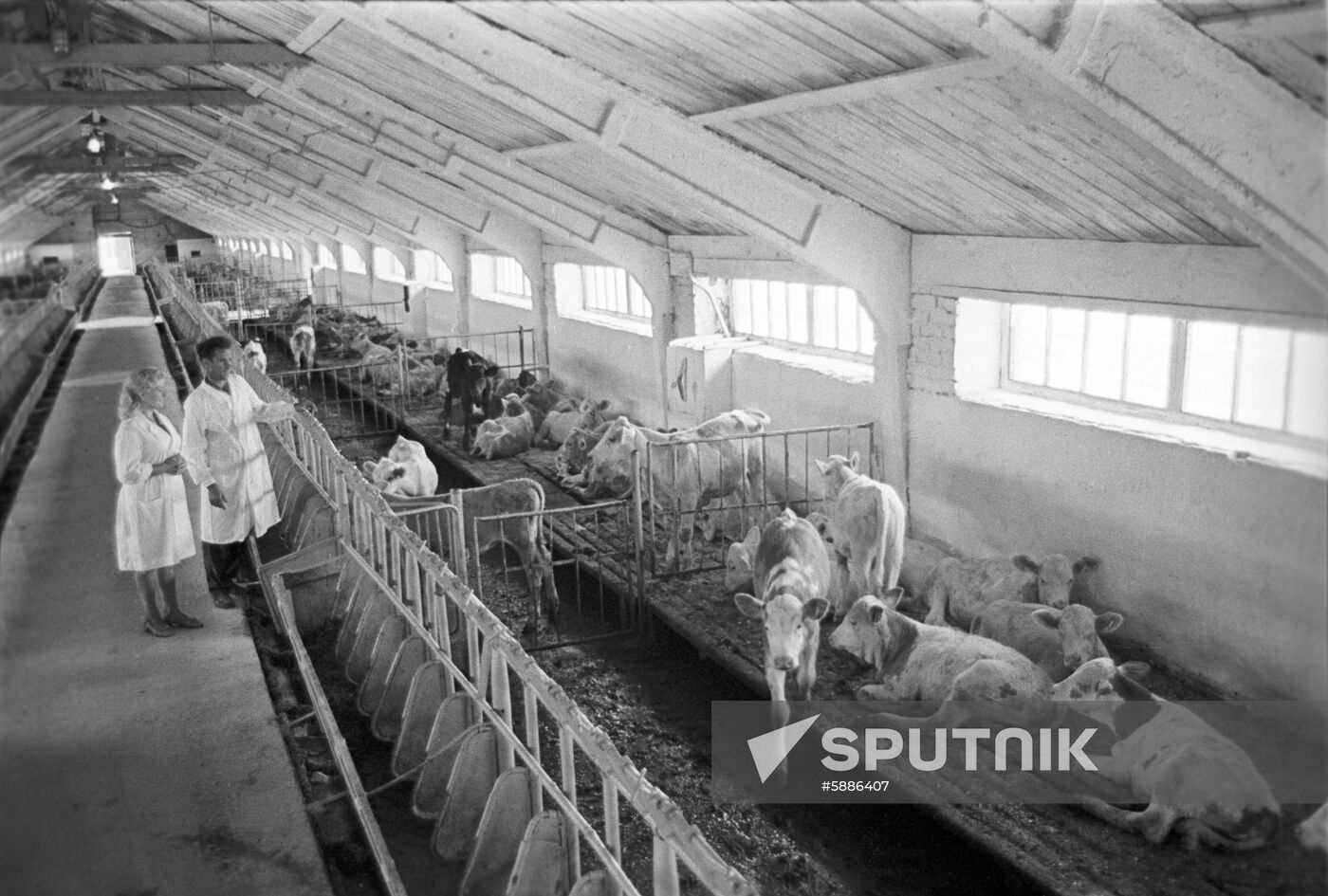 Yelansky state-owned farm