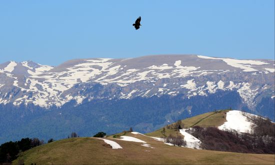 Russia Caucasus Nature Reserve