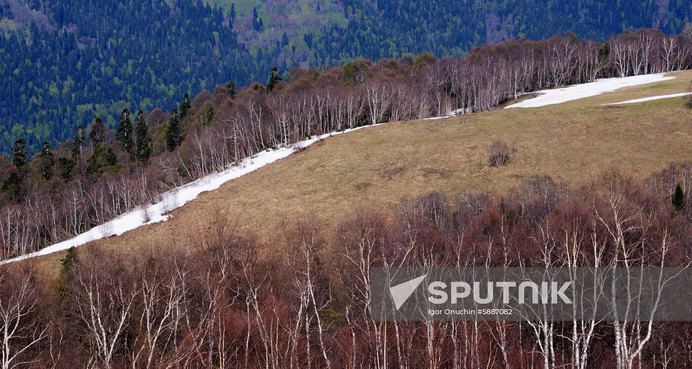 Russia Caucasus Nature Reserve
