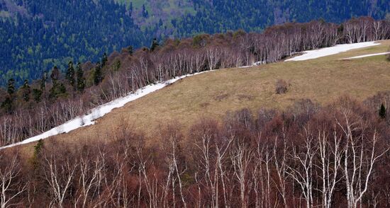 Russia Caucasus Nature Reserve