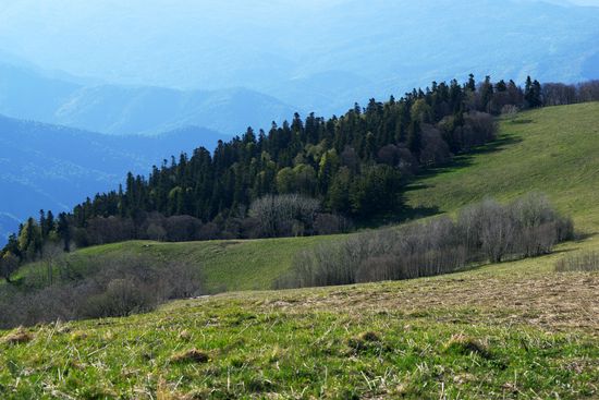 Russia Caucasus Nature Reserve