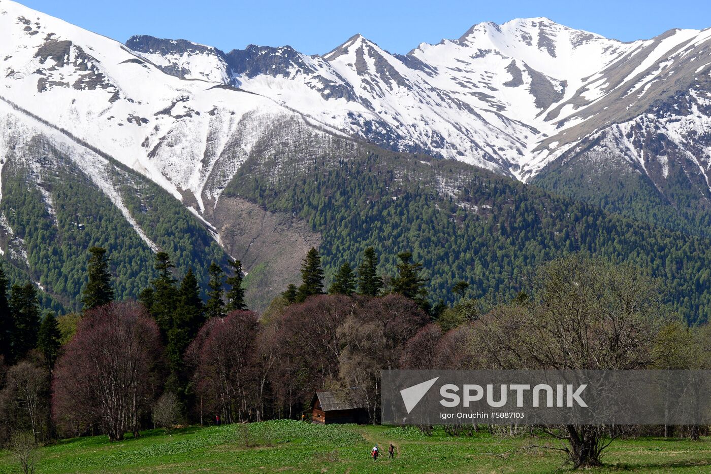 Russia Caucasus Nature Reserve