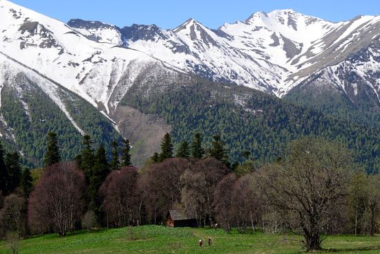 Russia Caucasus Nature Reserve