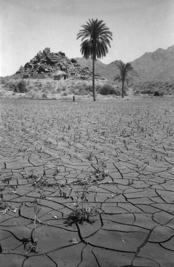 Wadi Zabid in Yemen
