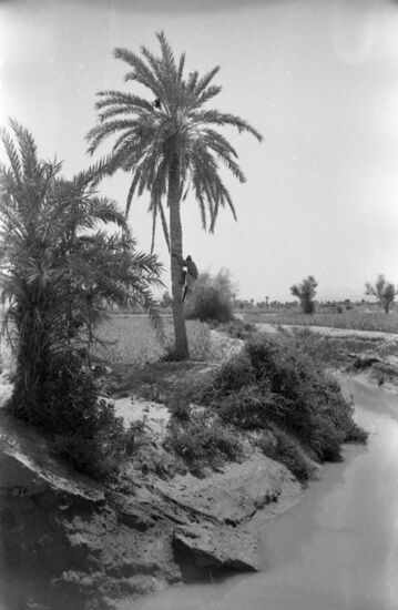 Yemen