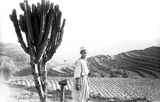 Yemen