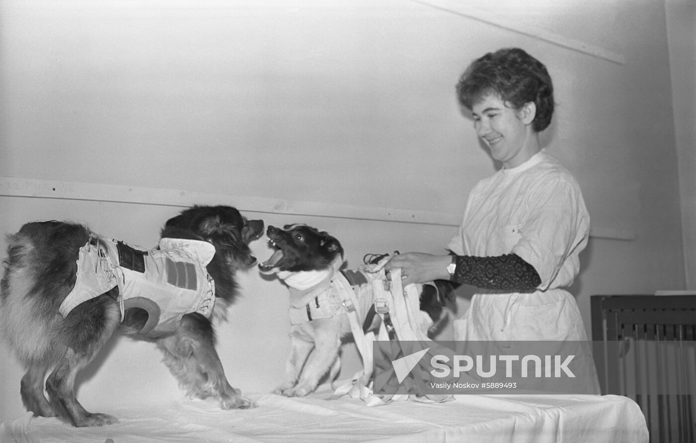 USSR Ministry of Health' Institute of Medical and Biological Problems