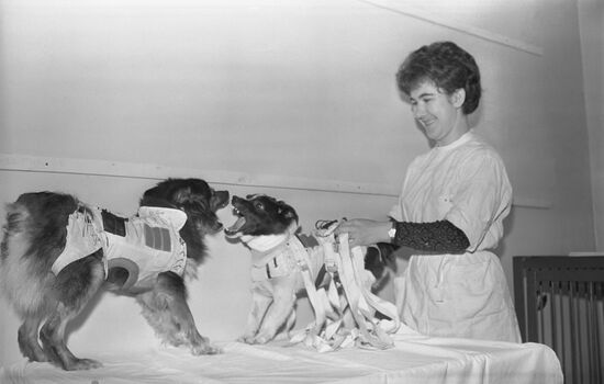 USSR Ministry of Health' Institute of Medical and Biological Problems