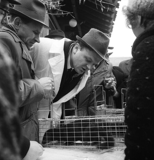 Soviet fur farming