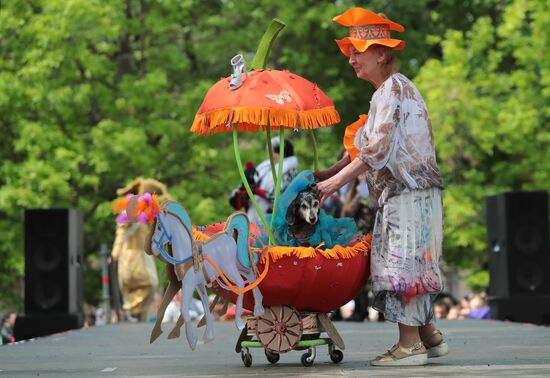 Russia Dogs Parade