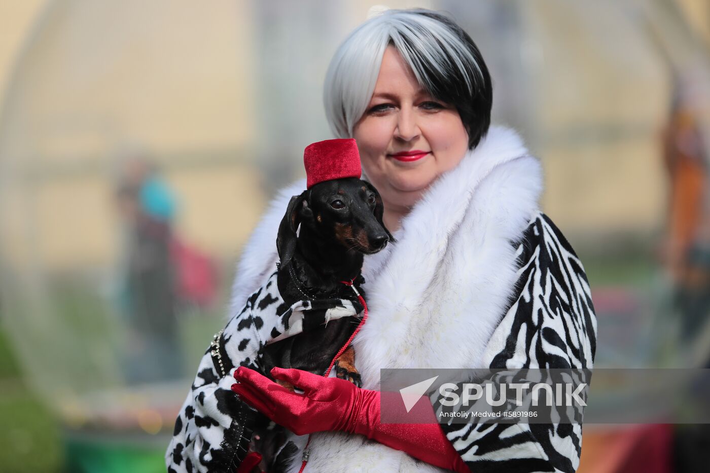 Russia Dogs Parade