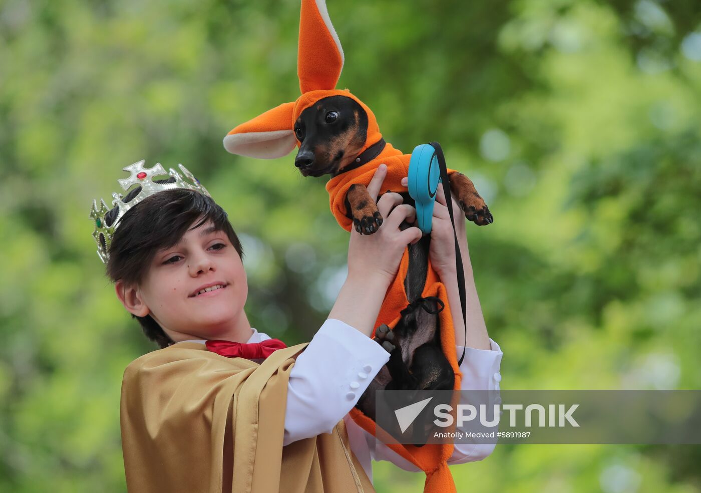 Russia Dogs Parade