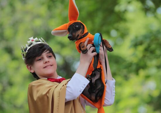 Russia Dogs Parade
