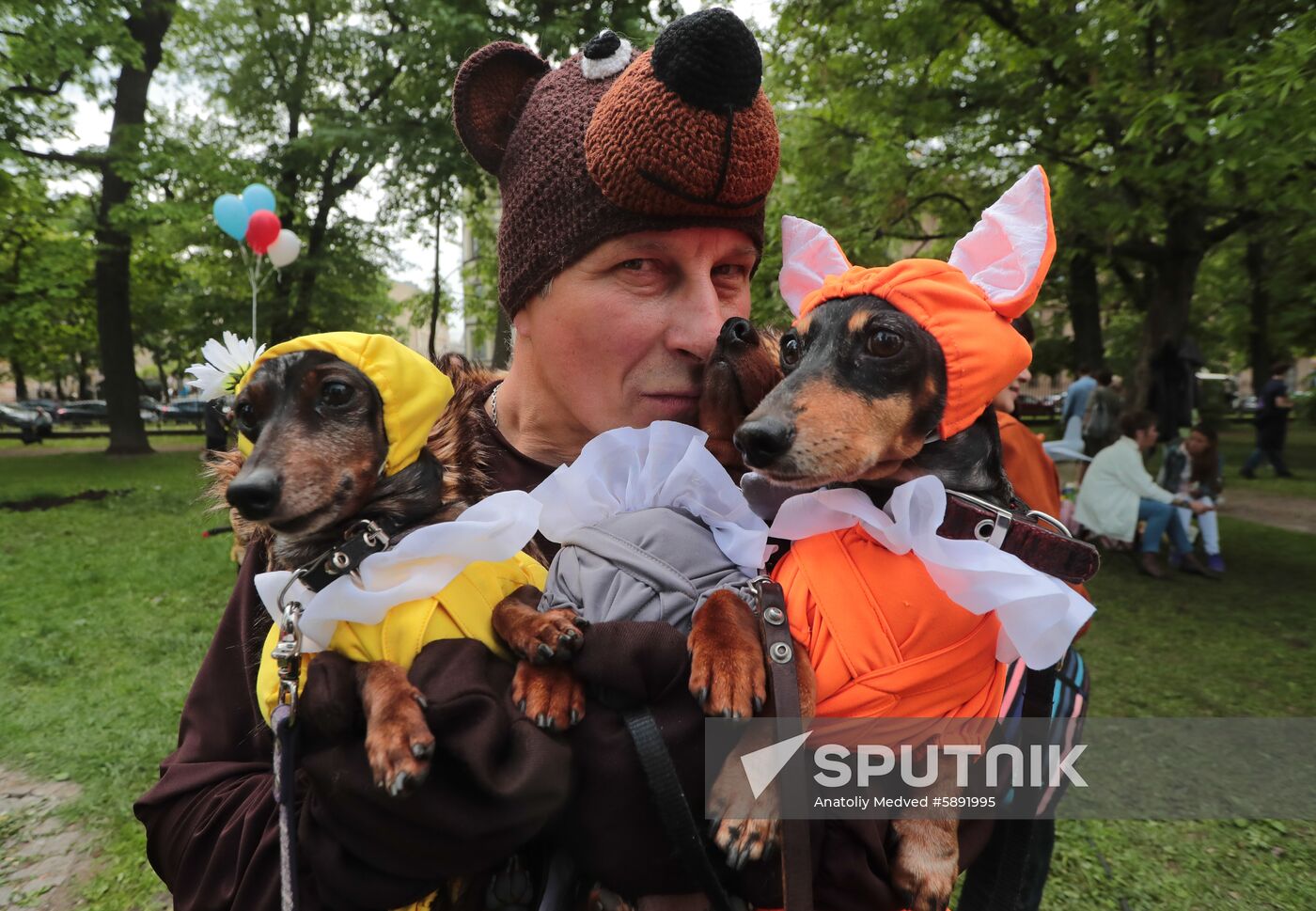 Russia Dogs Parade