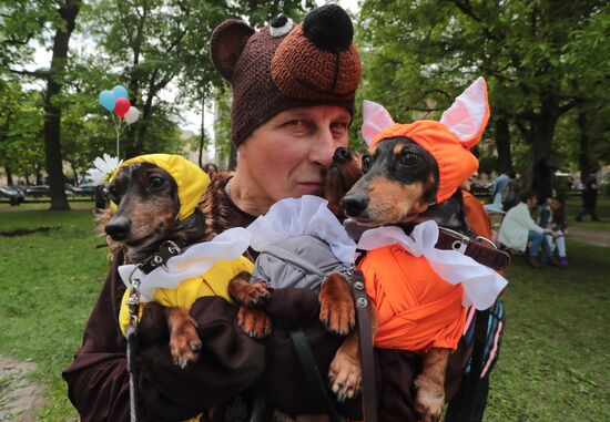 Russia Dogs Parade