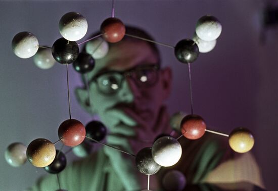 Zelinsky Institute of Organic Chemistry