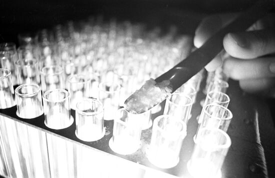 Zelinsky Institute of Organic Chemistry