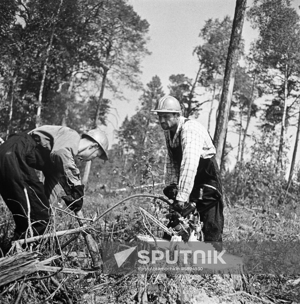 Lumberjacks
