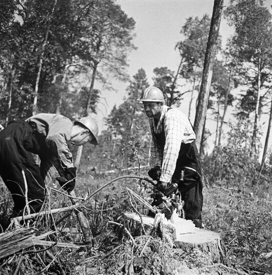Lumberjacks