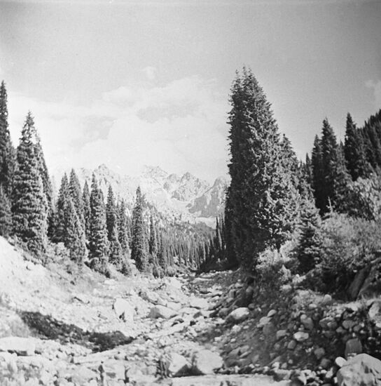 Gorelnik Ravine