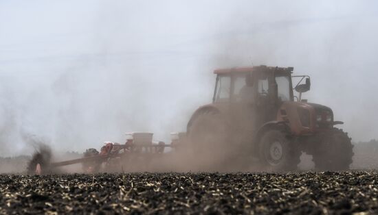Russia Sowing Season