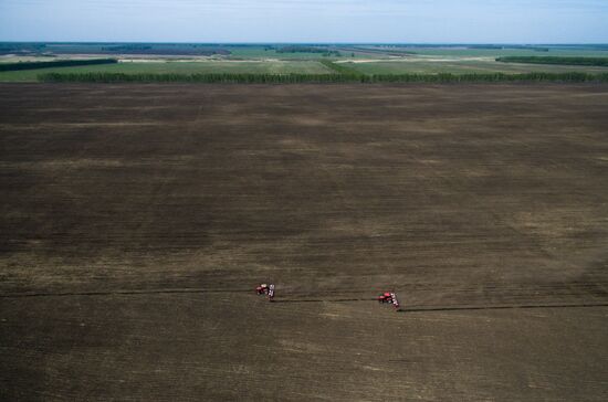 Russia Sowing Season
