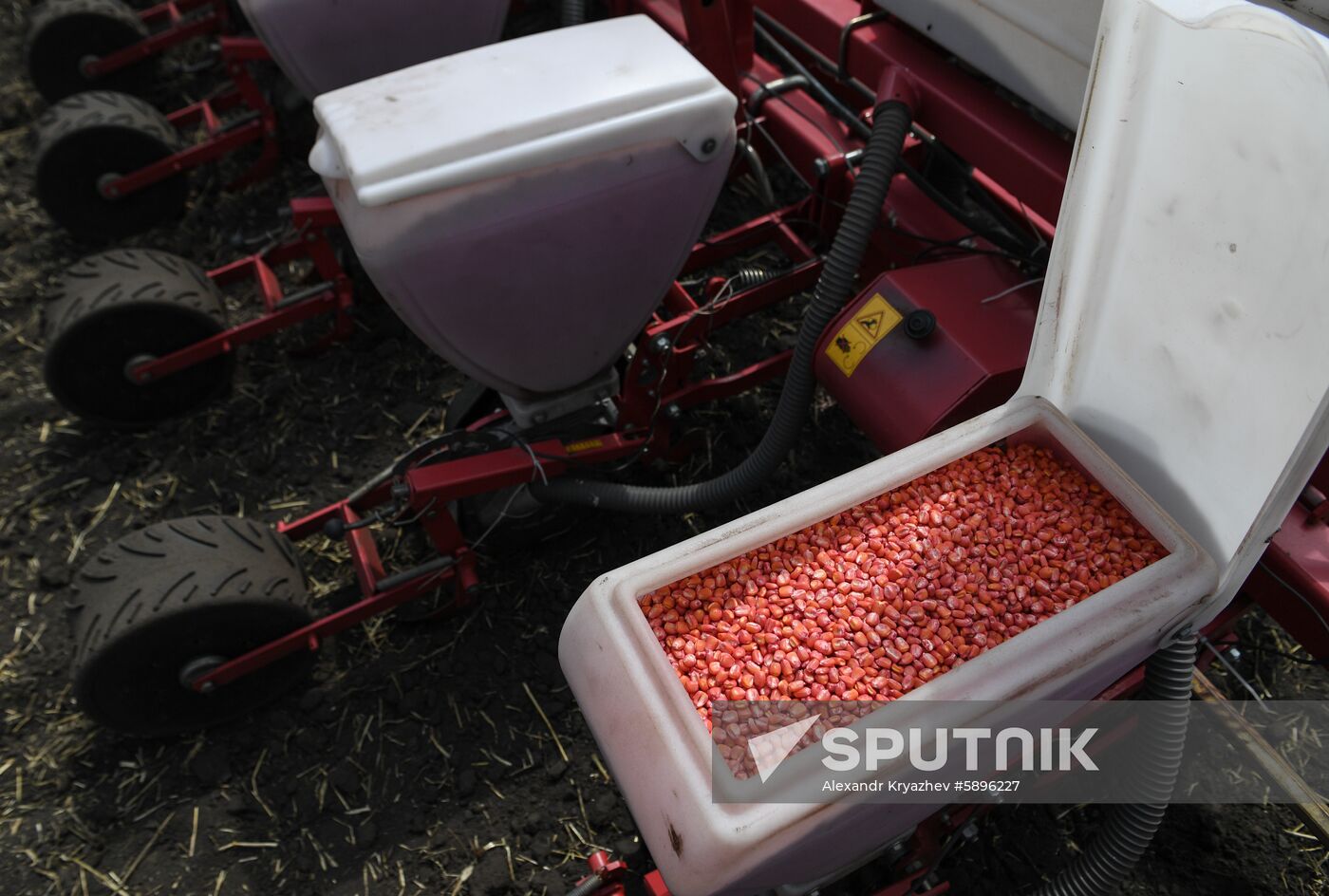 Russia Sowing Season